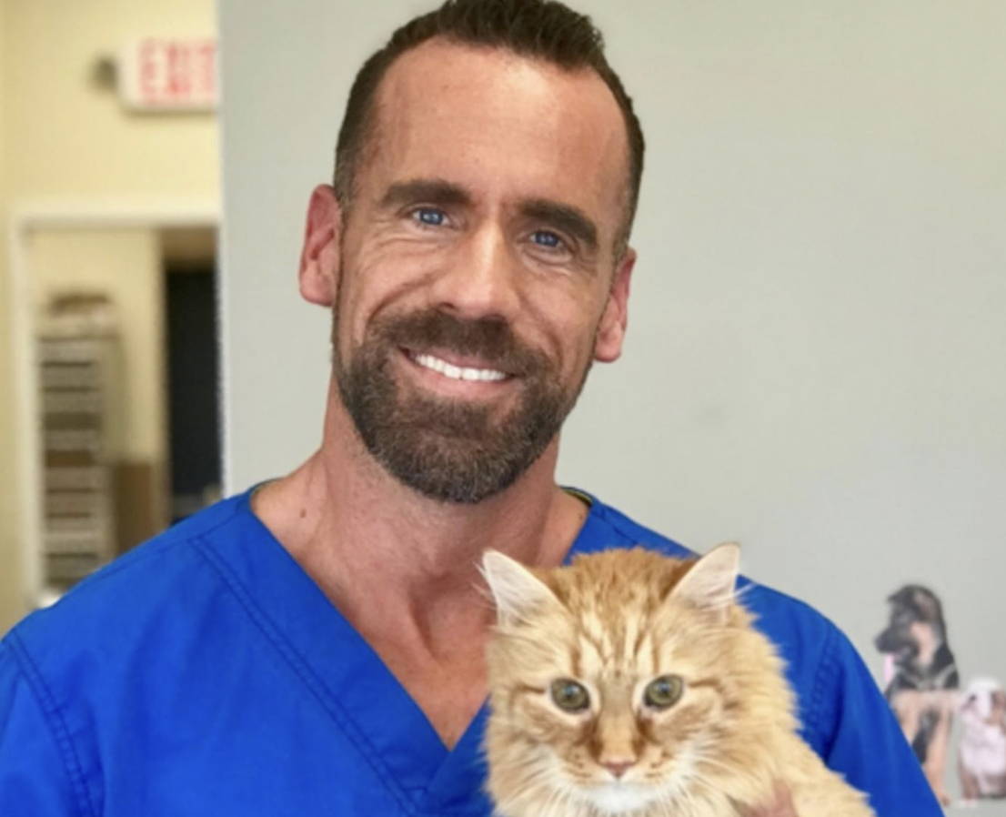 Free Vet Advice Online from Our Vet Advisory Board Vetnique Labs